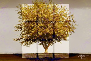 Window2 on an Amber Tree 3x2